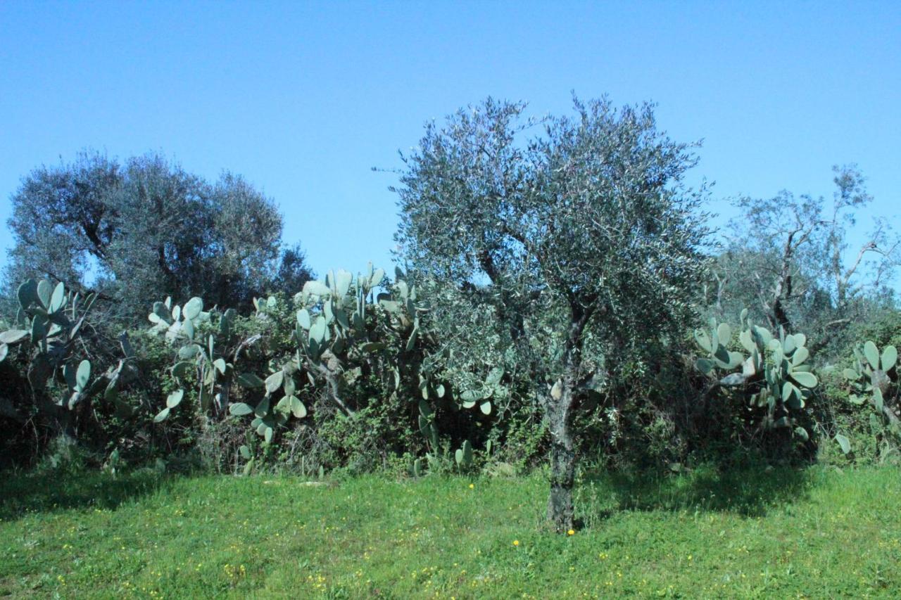 Piccolo Ulivo B&B Salento Верноле Екстериор снимка