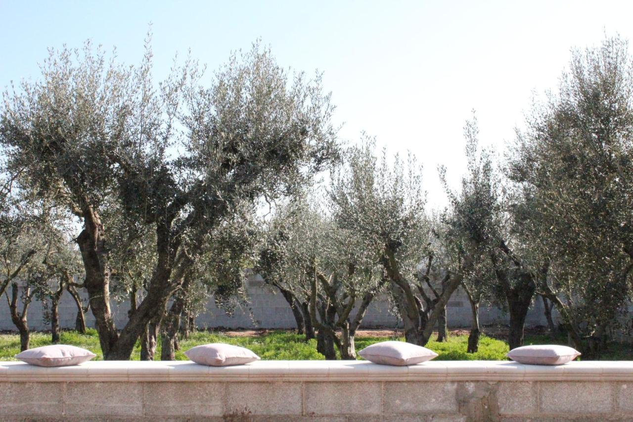 Piccolo Ulivo B&B Salento Верноле Екстериор снимка