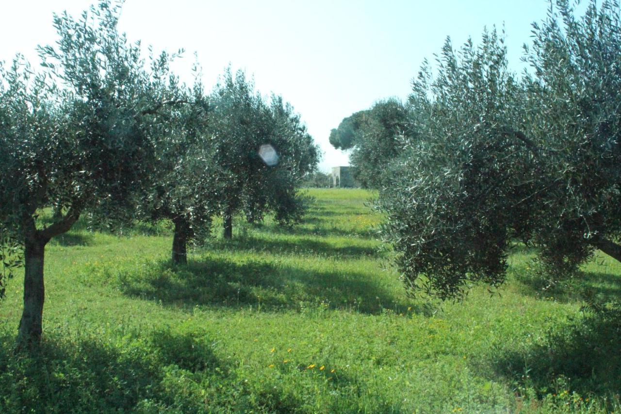 Piccolo Ulivo B&B Salento Верноле Екстериор снимка