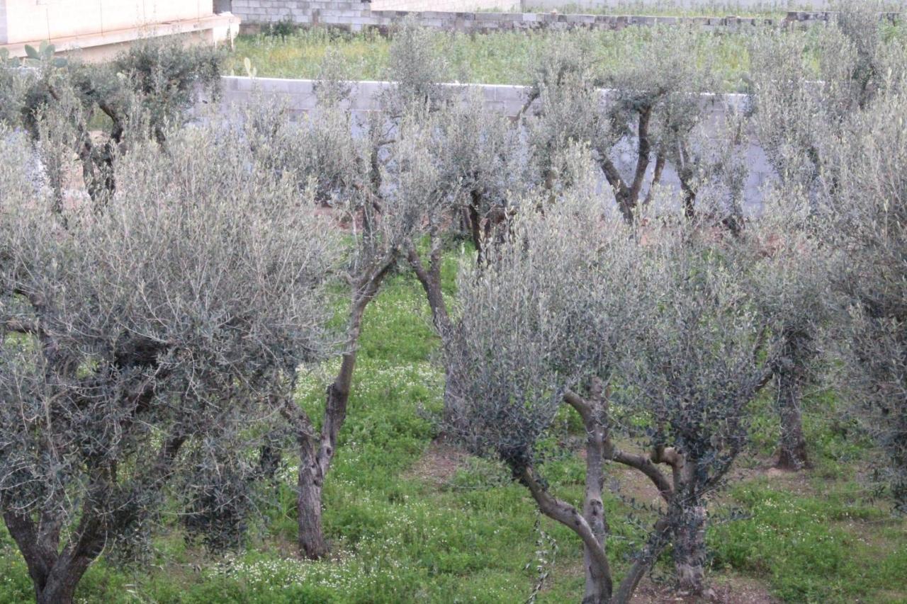Piccolo Ulivo B&B Salento Верноле Екстериор снимка